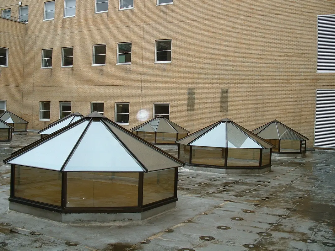 Flat Roof Skylights Grove Park